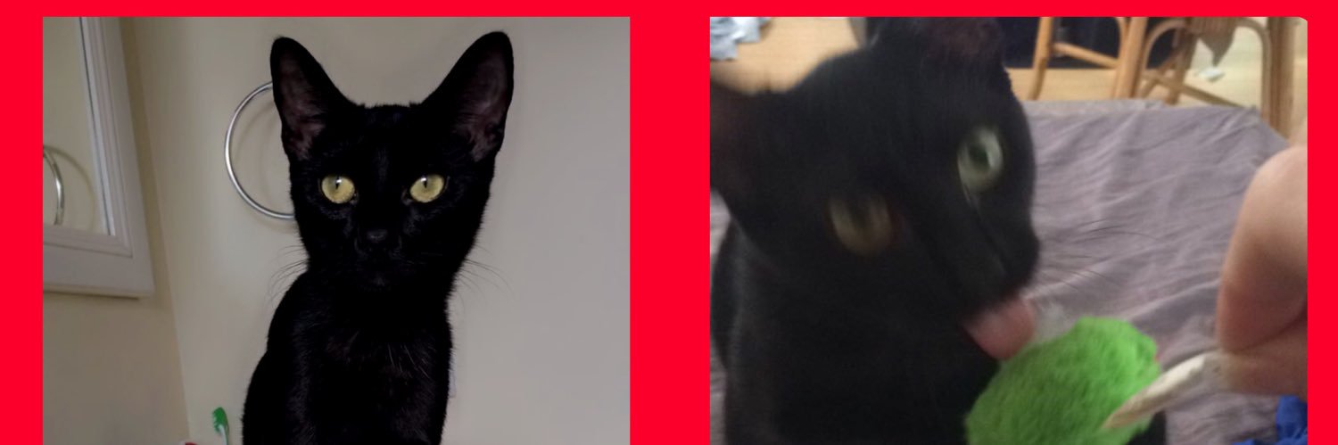 mnizzle17's profile banner image