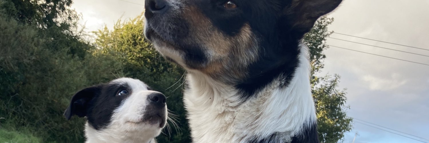 mcksorch's profile banner image