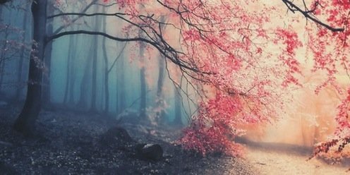 jaimiie_'s profile banner image