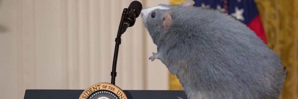 ふぁる banner