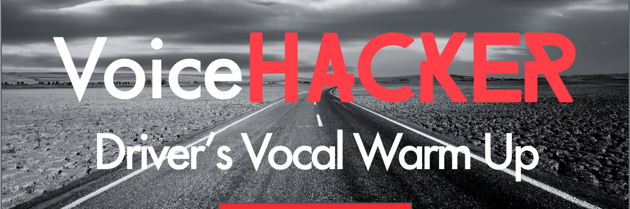 VoiceHacker banner
