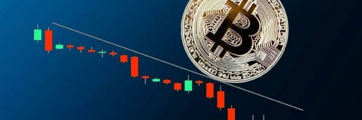 Taner Aydoğdu banner