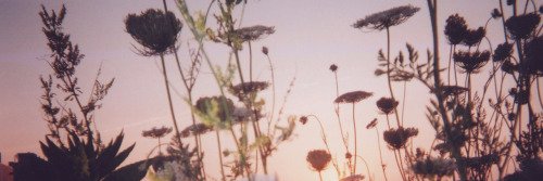 ChechuBales's profile banner image