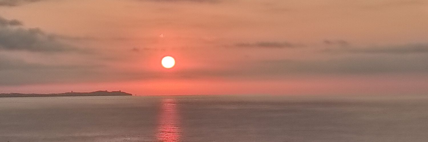 Sofia Berlanga banner