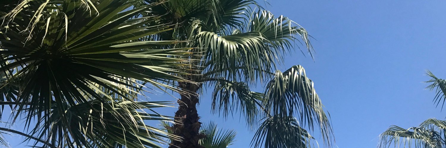 EllisTParsons's profile banner image