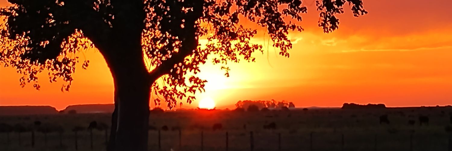 adrianbruno's profile banner image