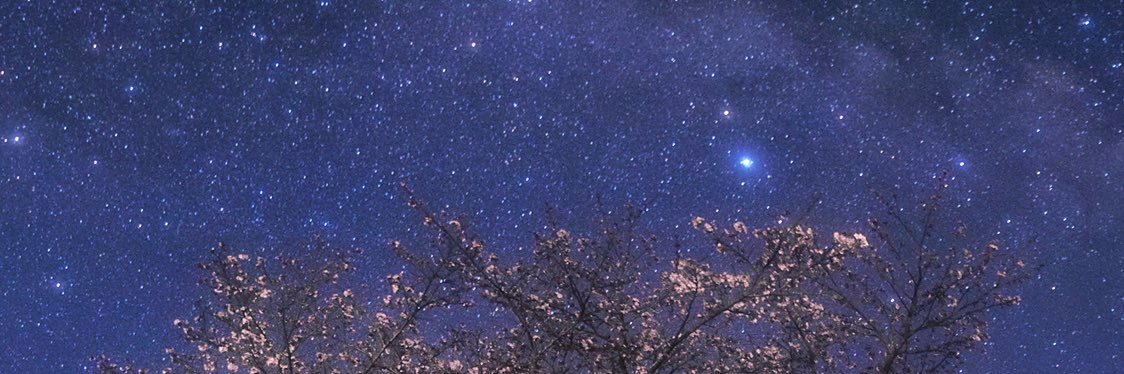 misarom_tonlist's profile banner image