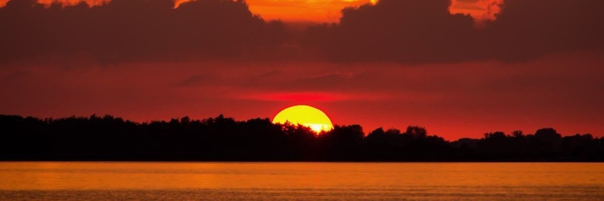 Muhdhar_s's profile banner image