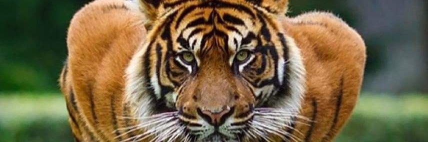 GirayButur's profile banner image