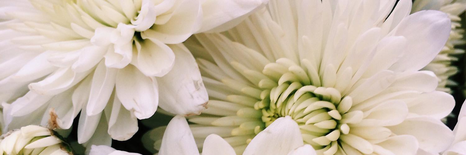 P_Dubb614's profile banner image