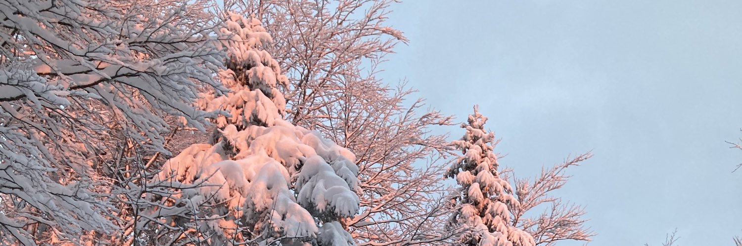 anaisasklein's profile banner image