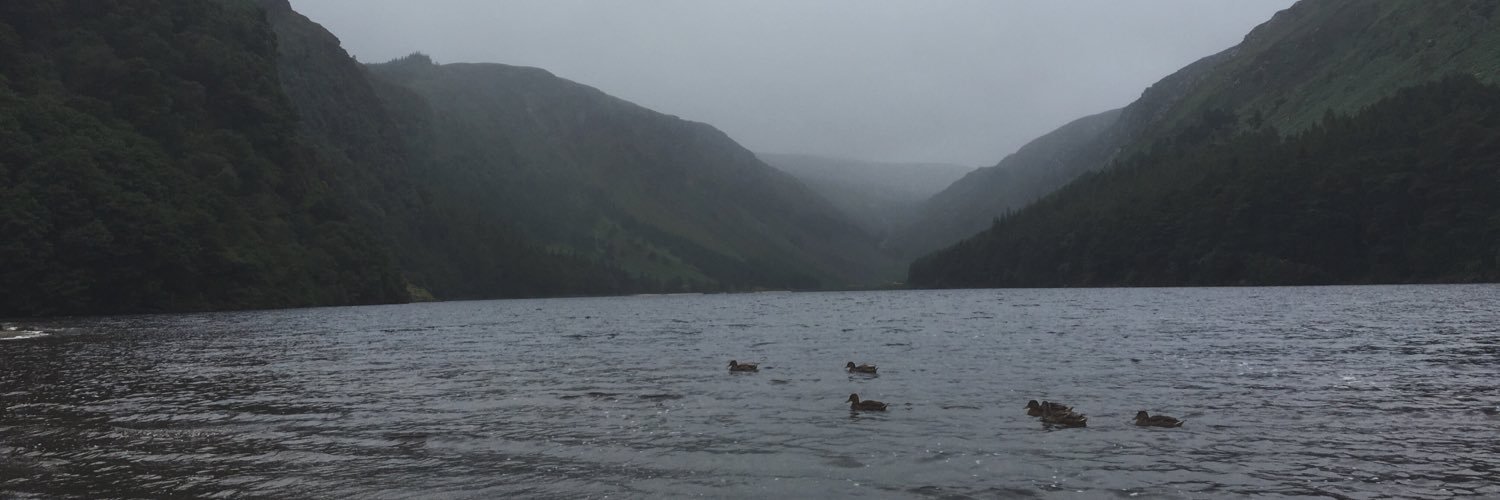 Morgan Saunders banner