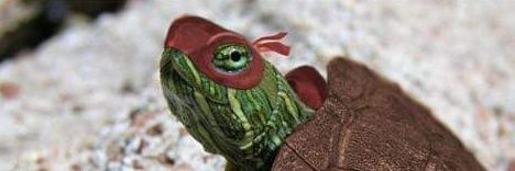 Reptil01's profile banner image