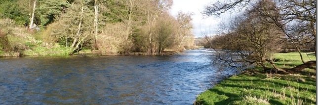 Dove Canoe banner