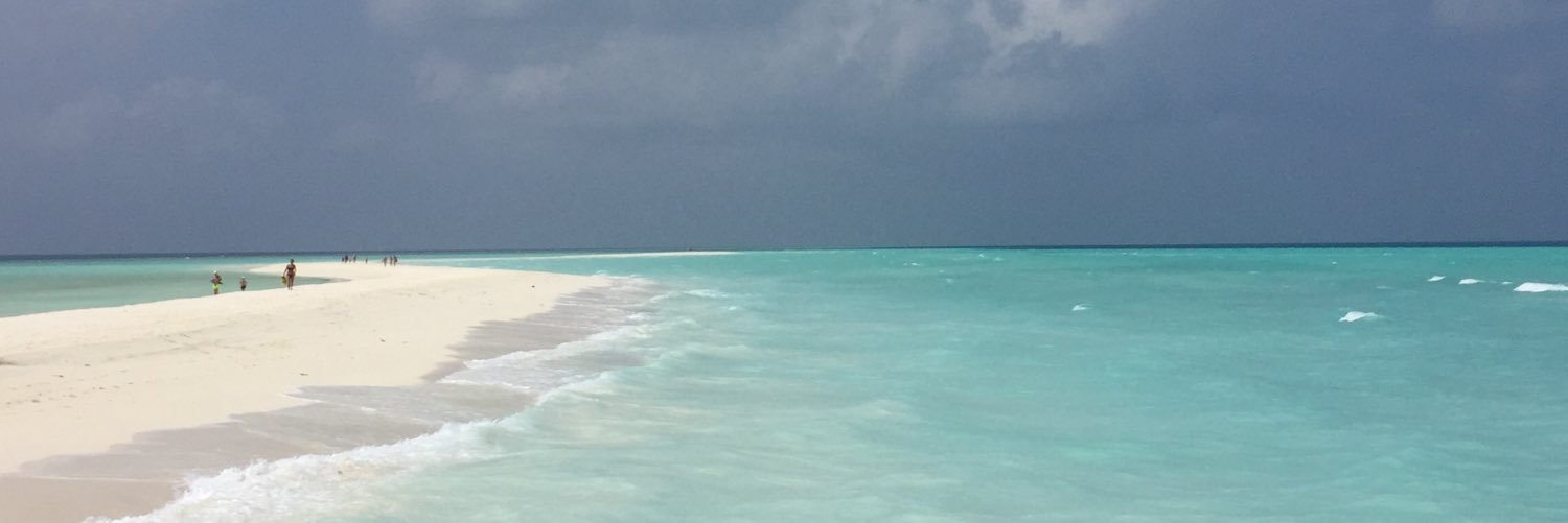 rafagasset's profile banner image