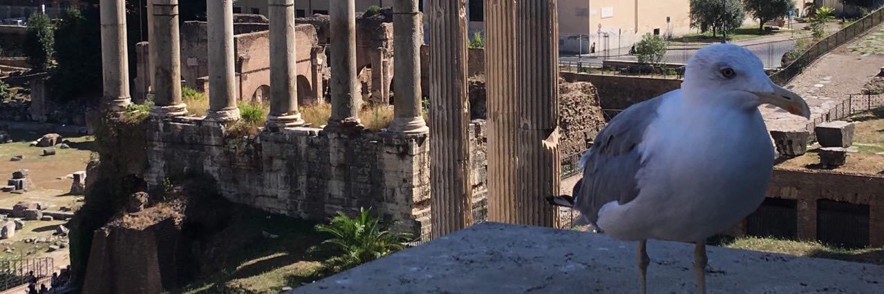 amorenteg's profile banner image