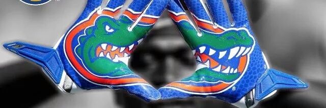 gatorboy1980's profile banner image