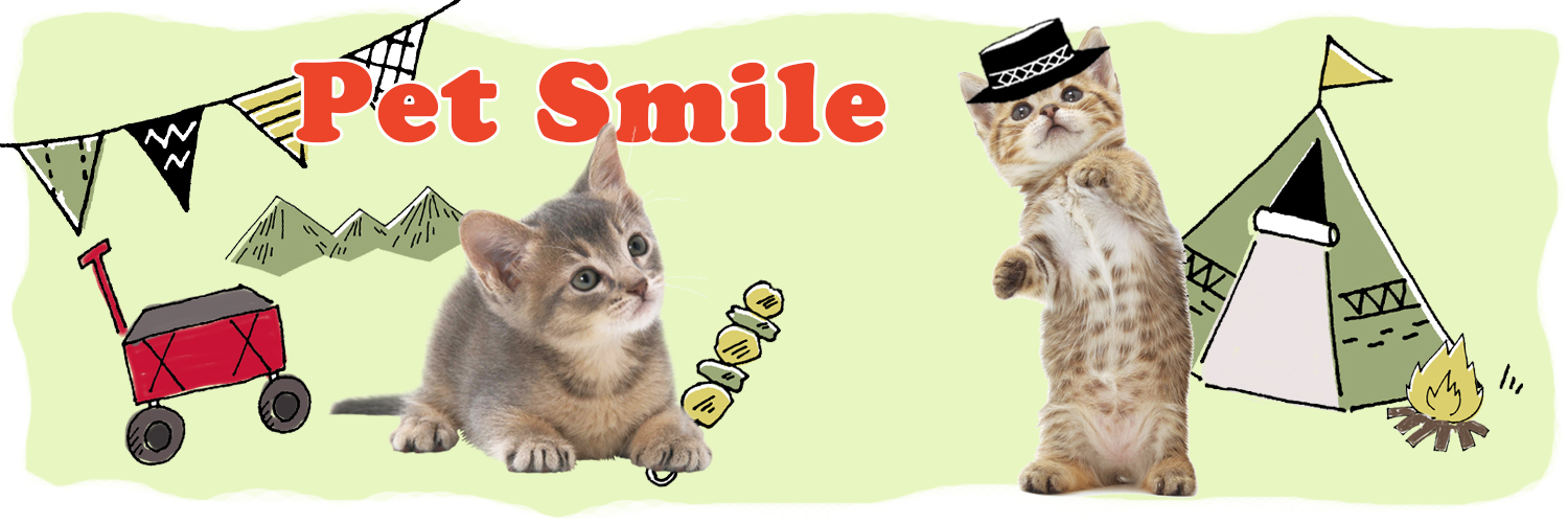 Petsmile_cat's profile banner image