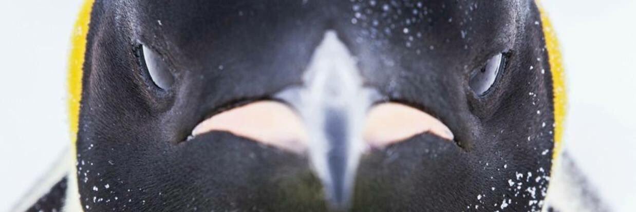 beth_hcc's profile banner image