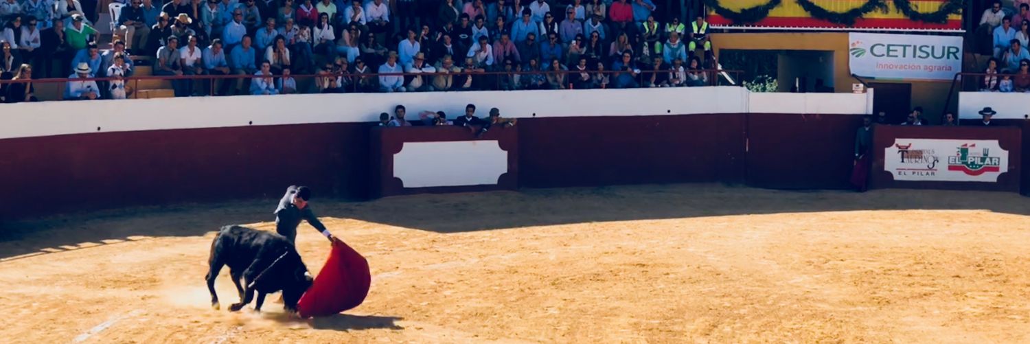 avaleraegea's profile banner image