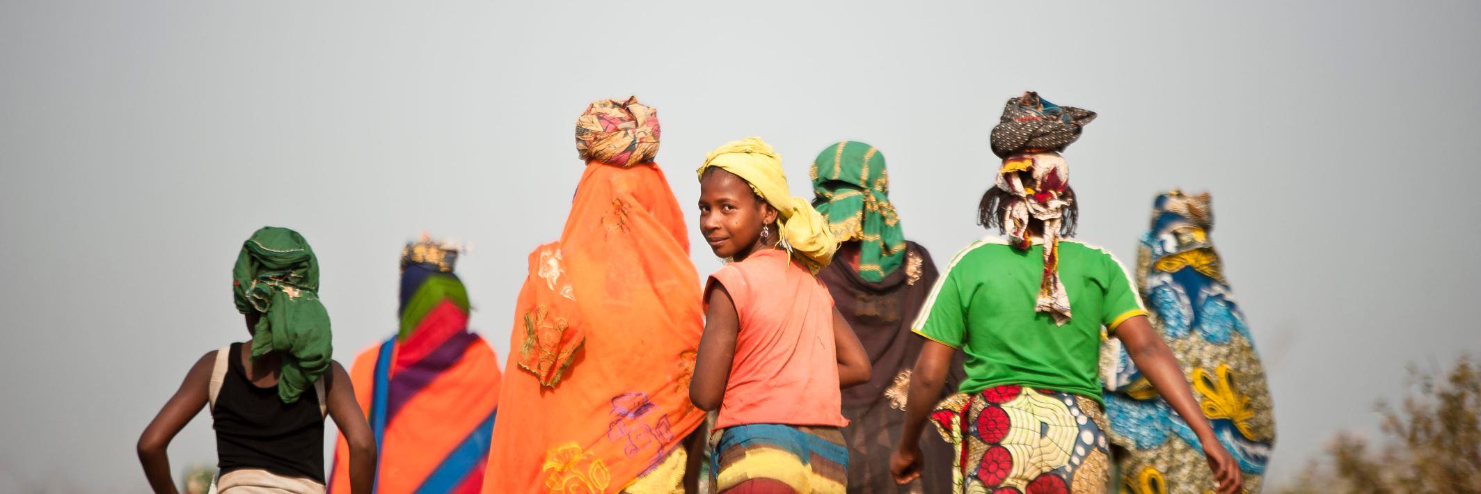 DisasterDisplacement banner