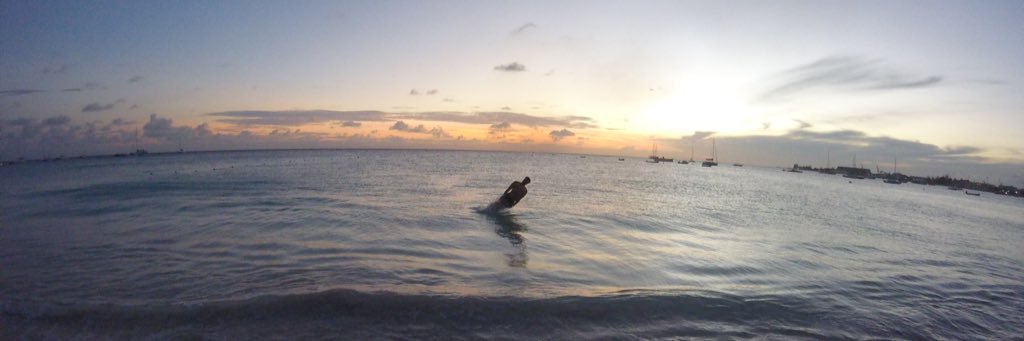 James Mitchell banner