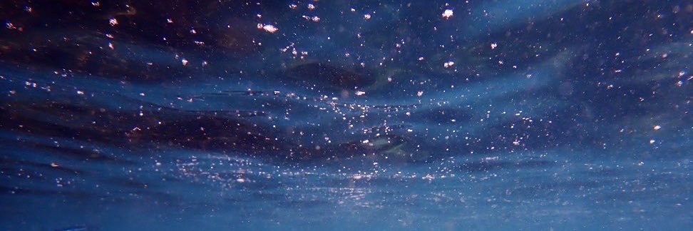 pocopana's profile banner image