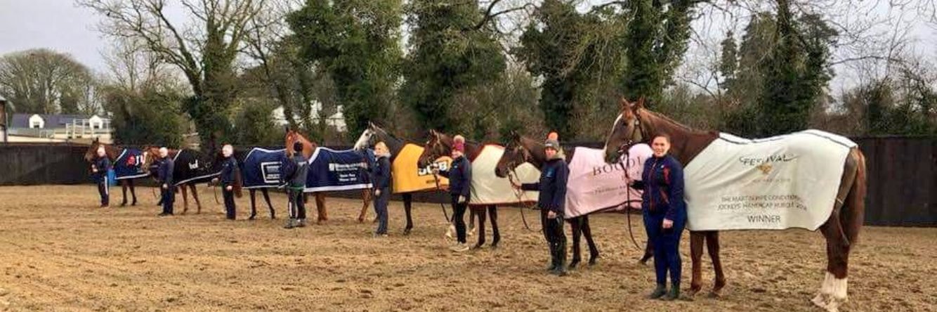 Gordon Elliott banner