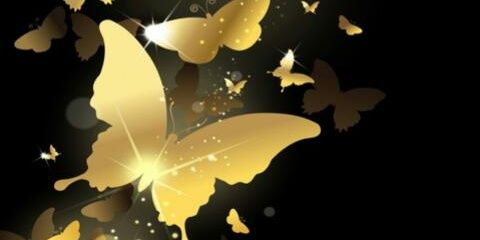 Malihadafi's profile banner image