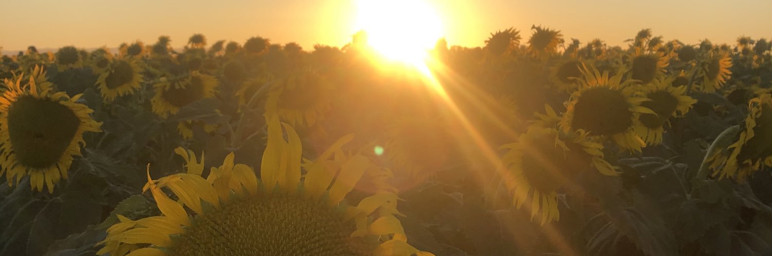 mesmereyezing__'s profile banner image