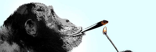 Bowblax Profile Banner