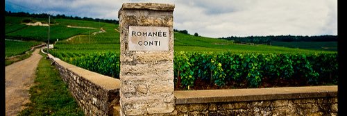 Janette Scott 🇨🇦🇩🇰 banner