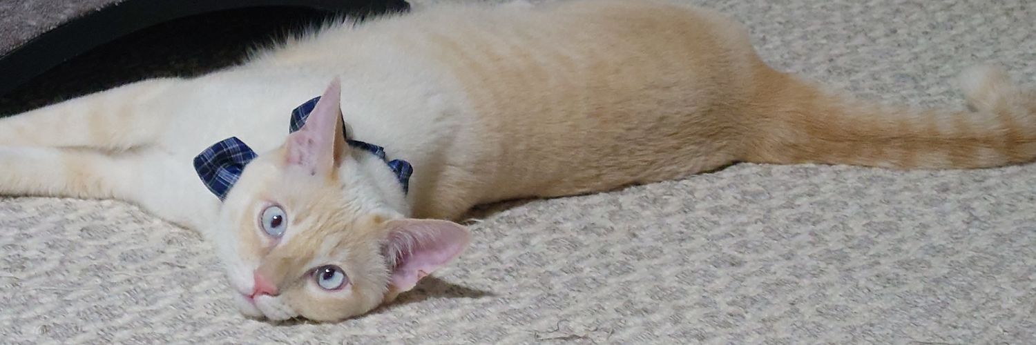 milk_fu_'s profile banner image