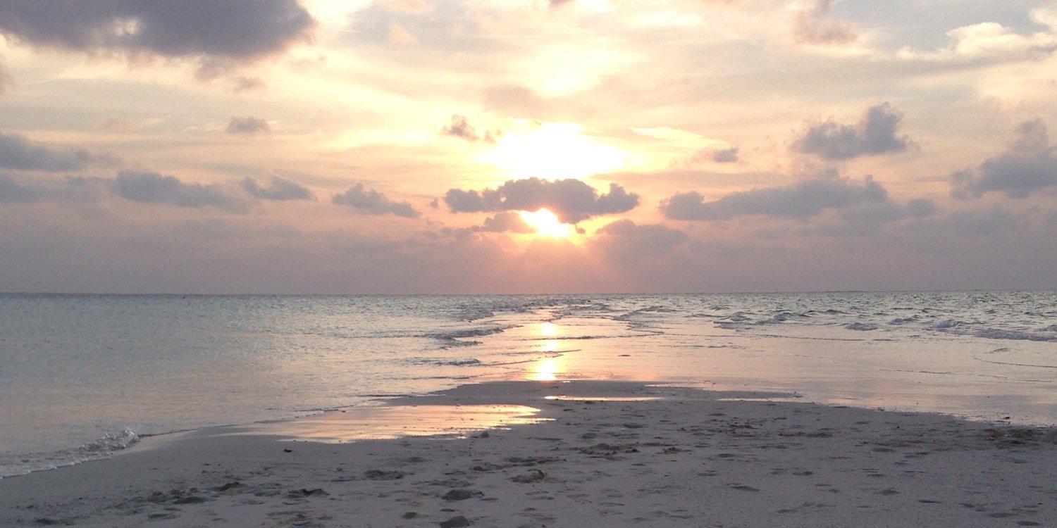 Dr Junaid Zaman banner