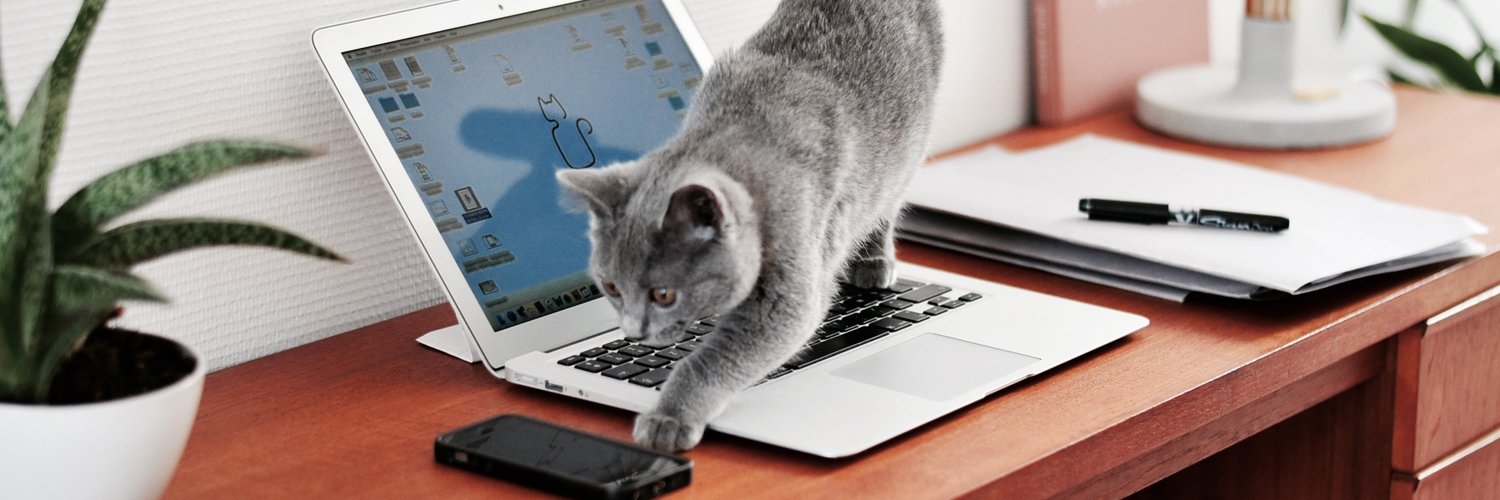 Rachel Ferrigno banner