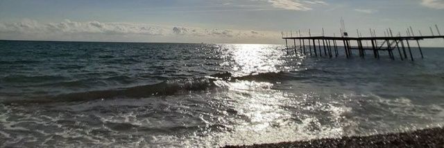 Belgin ŞAHİN banner
