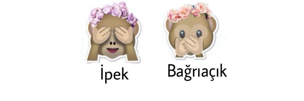 ipegintebrixi's profile banner image