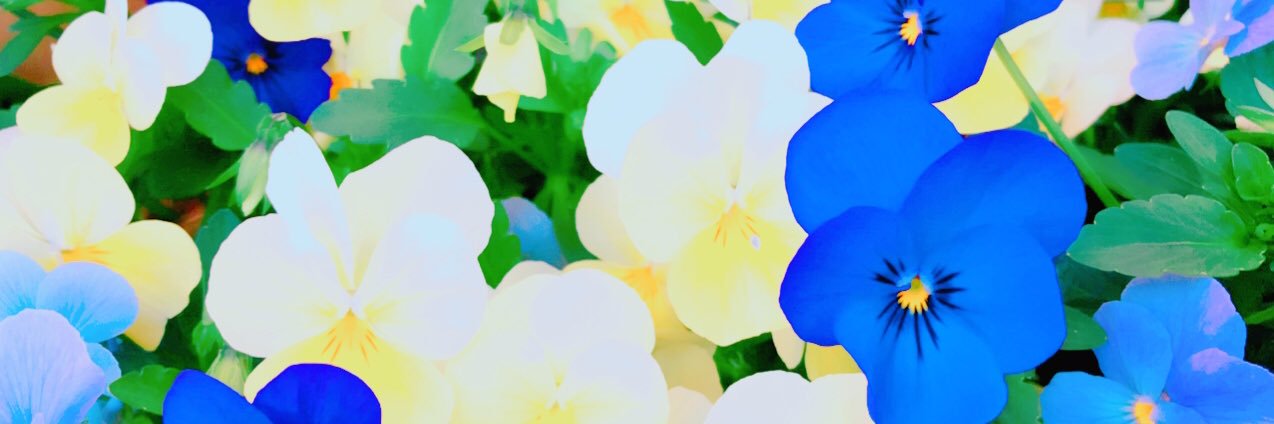 ceepoco's profile banner image