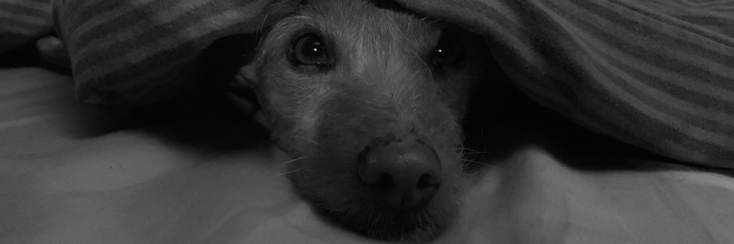 ConchiGschwend's profile banner image