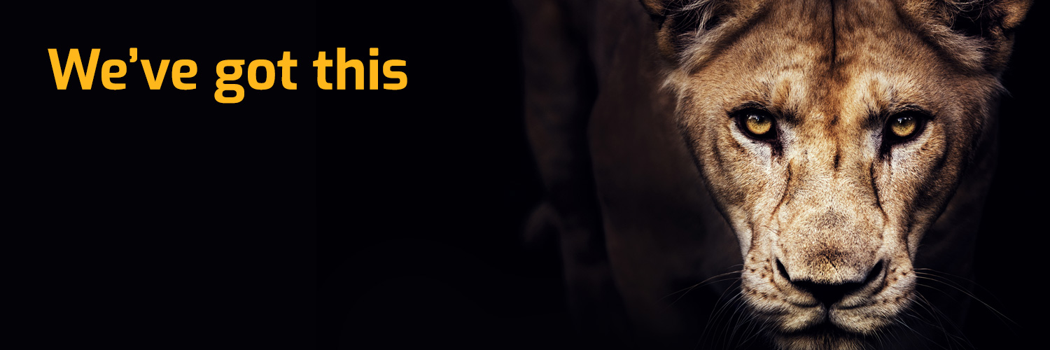 Lion_Safety's profile banner image