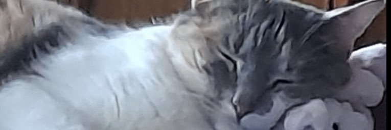 TDCUATRO's profile banner image