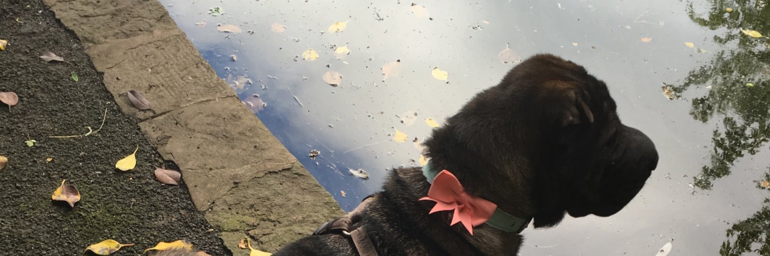 Timothy_Horn's profile banner image