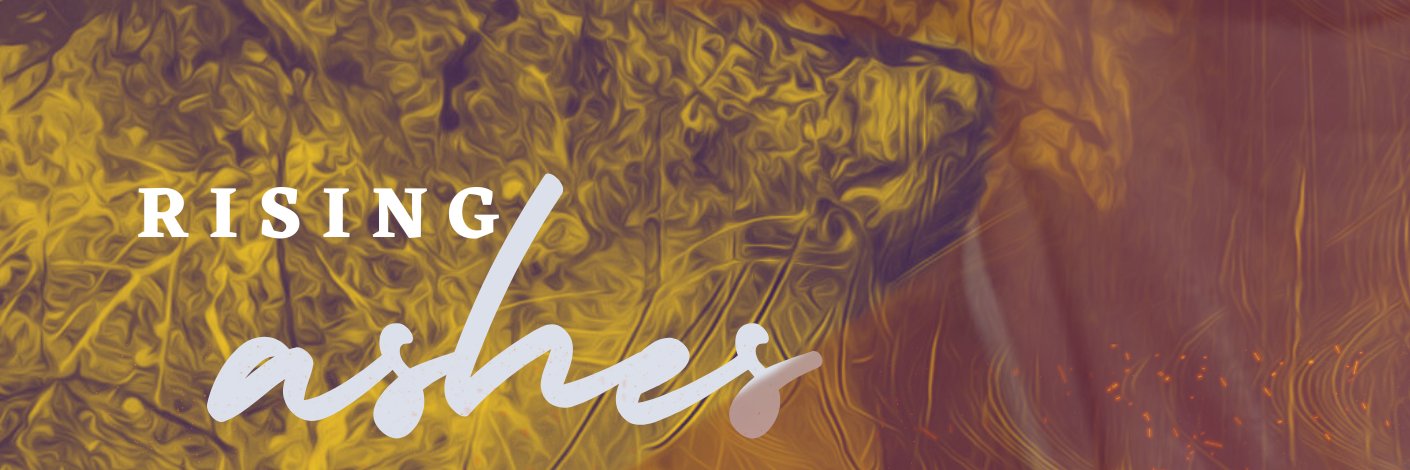 lifeplusfitnes1's profile banner image