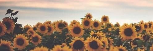 His Audi Princess♡ banner