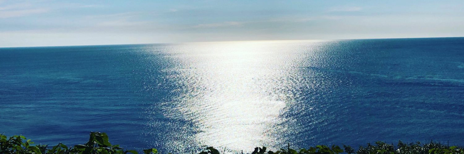 90hawailovedogs's profile banner image