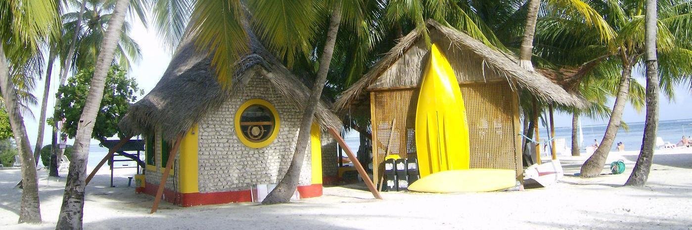 Daniel Pittner banner