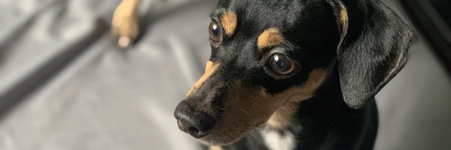 torredayoung's profile banner image