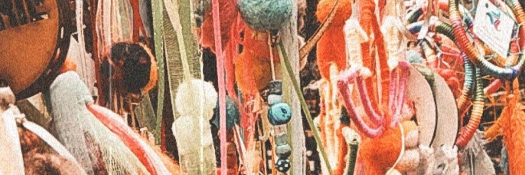 ailuditocco's profile banner image