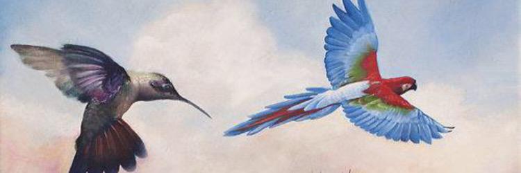 IconMediaa's profile banner image