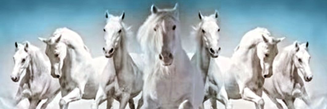 TheBharatjoshi's profile banner image